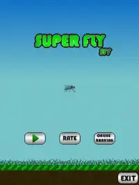 Super Fly Screen Shot 0