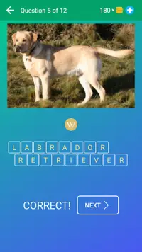 Dog Quiz: Guess the Breed — Game, Pictures, Test Screen Shot 1