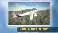 Airplane Flight: Pilot Sim 3D Screen Shot 2