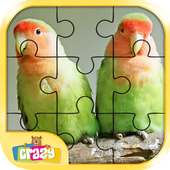 Bird Puzzle Toddler and Kids