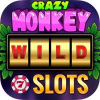 Crazy Monkey Slot Machine