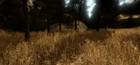 VR Forest Relaxation Walking in Virtual Reality 3 Screen Shot 5