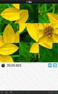 Flowers Puzzle – MPW Screen Shot 15