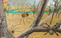 Tarantula Giant Spider Nest Insect Queen simulator Screen Shot 4