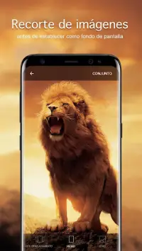 Fondos de pantalla con león 4K Screen Shot 2