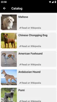 Dog breeds - Photo Quiz Screen Shot 3