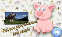 Животные для детей! Видео! Animals for kids! Video Screen Shot 3