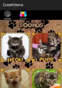 Kitten Sounds and Puzzles Free Screen Shot 1