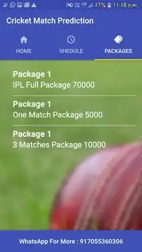 Expert Cricket Prediction Screen Shot 2
