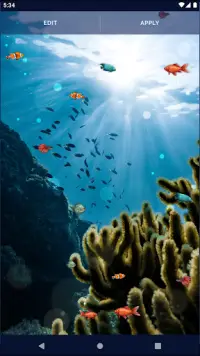 Ocean Fish Live Wallpaper 4K Screen Shot 7