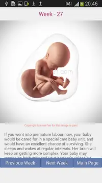 Pregnancy Tracker Screen Shot 2