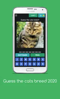 Cat Quiz - Guess The Cat Breed 2020 Screen Shot 1