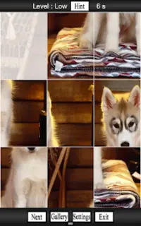 Cute Dogs, Puppies Jigsaw Game Screen Shot 1