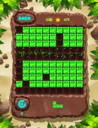 Block Puzzle: Fauna style Screen Shot 3