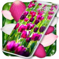 Spring Petals Live Wallpaper ❤️ Flower Wallpapers