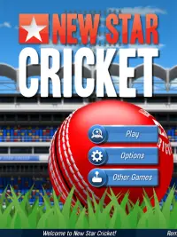 New Star: Cricket Screen Shot 6