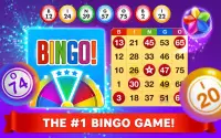 Bingo Star - Bingo Games Screen Shot 1