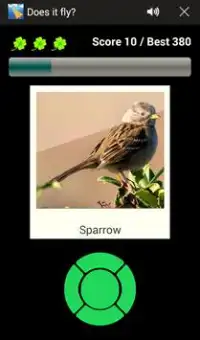 Does it fly? Screen Shot 3