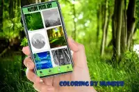 Nature Pixel Art Coloring By Number Screen Shot 5