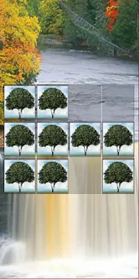 Memory Game 2 (Flags) Screen Shot 7