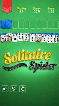 Spider Solitaire - Free Classic Casino Card Game Screen Shot 0