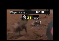 Bull Riding Challenge Screen Shot 3