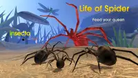 Life of Spider Screen Shot 2