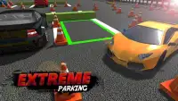 Valley Parking : Car Valet 3D Screen Shot 1