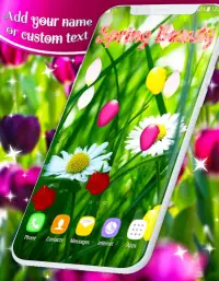 Spring Petals Live Wallpaper ❤️ Flower Wallpapers Screen Shot 2