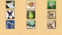 Puzzles Home Animals Screen Shot 8