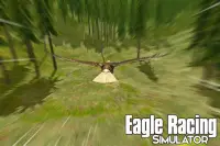 Eagle Racing Simulator: Animal Race Game Screen Shot 3
