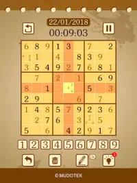 Logic Sudoku Screen Shot 13