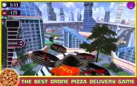 DRONE PIZZA HOME DELIVERY 2017 Screen Shot 1