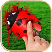 Bug Smasher Game
