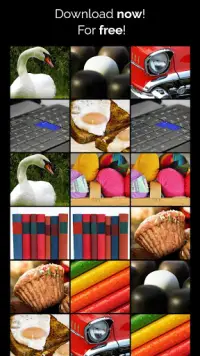 CAR & ANIMAL MEMORY FREE: COLORFUL GAME FOR ADULTS Screen Shot 4