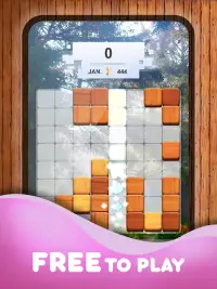 Wood Block Puzzle Game Screen Shot 9