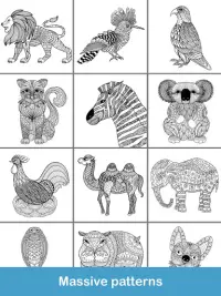 2020 for Animals Coloring Books Screen Shot 15