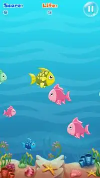 Atrapa a todos los peces Screen Shot 1