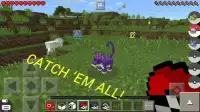 Perfect Pokémon Idea Minecraft Screen Shot 2