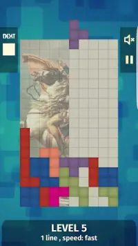Tetro Blocks - Reveal the Painting! Screen Shot 1