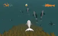 Be the Whale Beluga Screen Shot 0