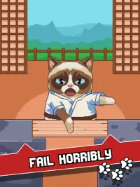 Grumpy Cat's Worst Game Ever Screen Shot 12