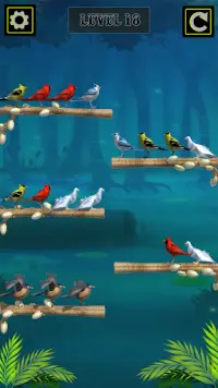 Colored Bird Sort Puzzle Screen Shot 0