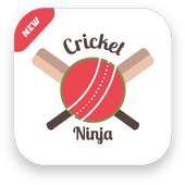 Cricket Ninja
