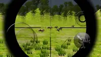 Sniper Vs Lion Vs Deer Screen Shot 4