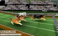 Hunderennen Haustier-Rennspiel Screen Shot 0