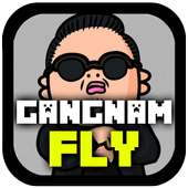 Gangnam Fly