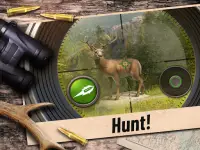 Hunting Clash: Shooting Games Screen Shot 14