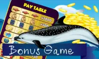 Dolphin 888 Slots Casino Screen Shot 0