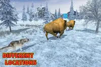 Wolf Family Sim Screen Shot 11